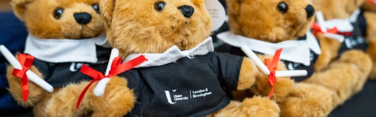 UU graduation teddy bears
